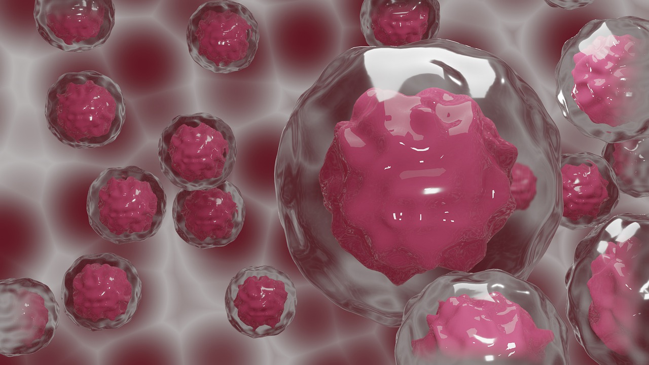 「成体幹細胞」と、その中でも多分化能を持つ「間葉系幹細胞」を徹底解説！