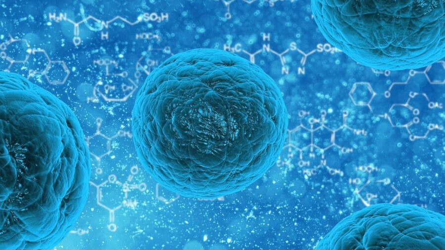 【国内初】新型コロナ治療に幹細胞を活用！ロート製薬が治験計画を発表