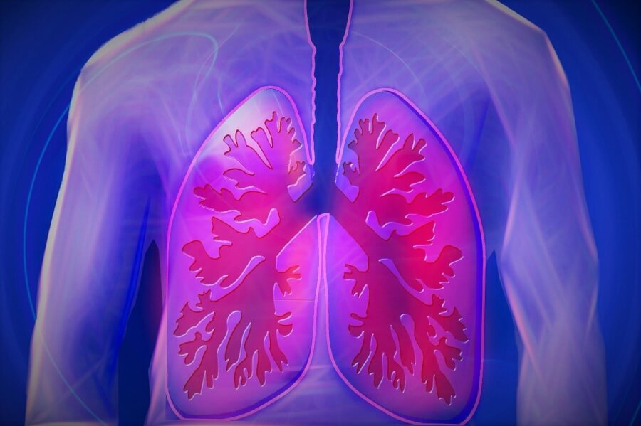 5種類の肺疾患と幹細胞をつかった治療の動向を解説！