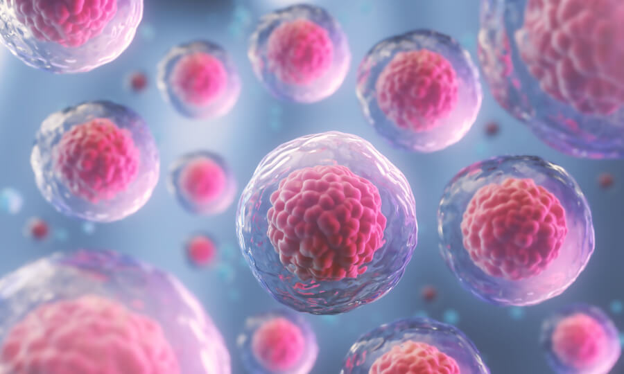 NK細胞とT細胞とは？病原体から体を守る生体防御のメカニズム