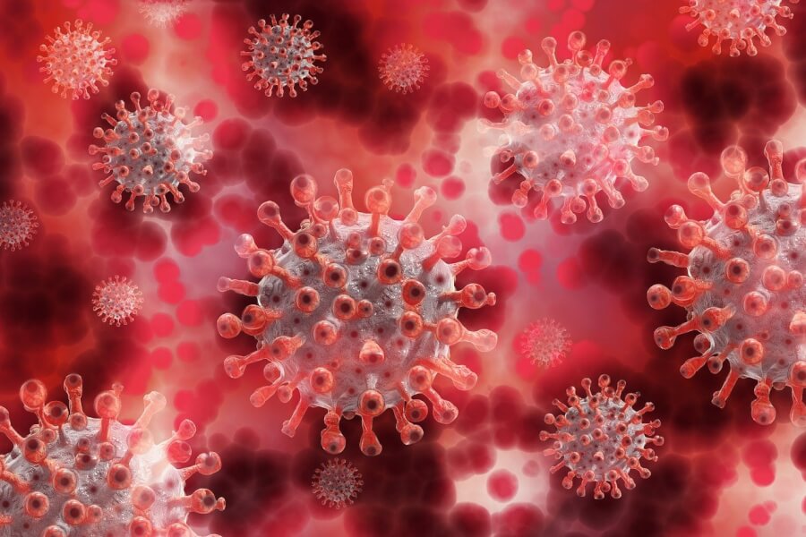 コロナウイルス、血管壁壊し侵入　京大チームが米科学誌に発表