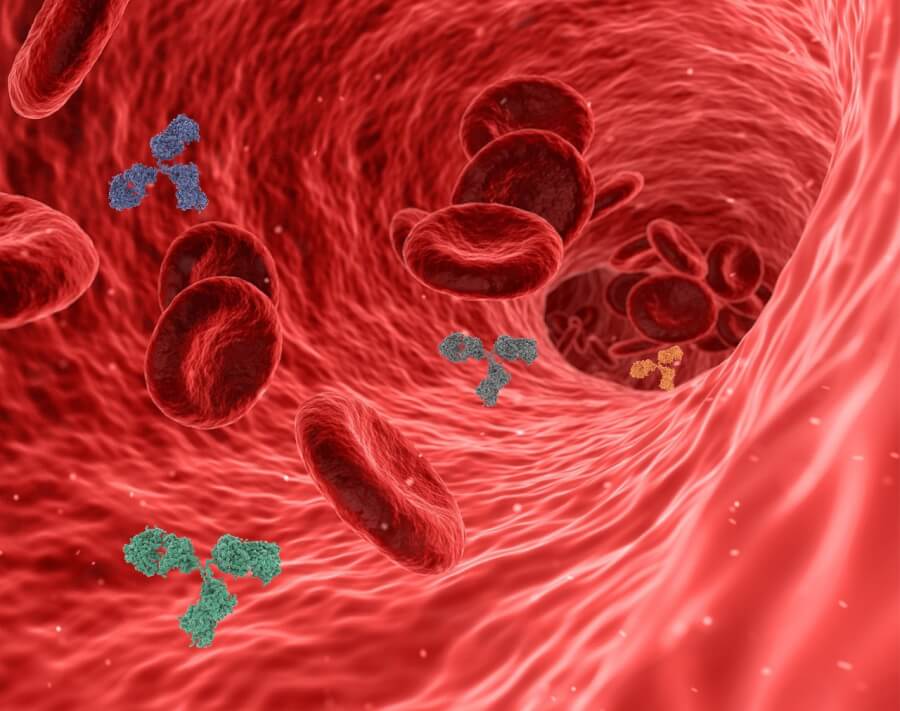 CD19標的CAR-T細胞liso-celが再発・難治性の大細胞型B細胞リンパ腫の2次治療として承認