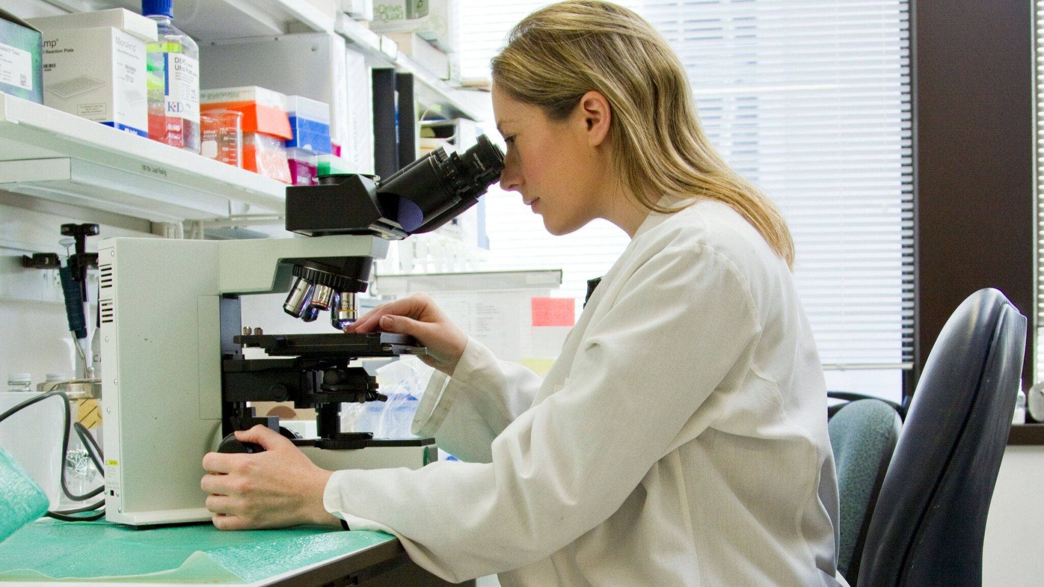 リブロジルのコスト